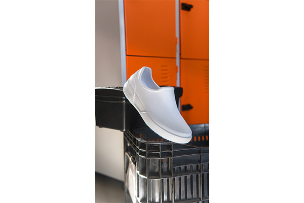 2309-900-002-2309-900-102