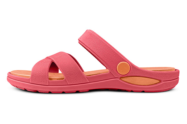 2519_120_005_lateral