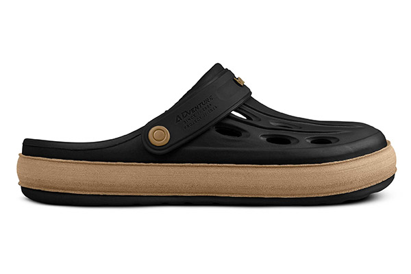 2439_111_001_lateral