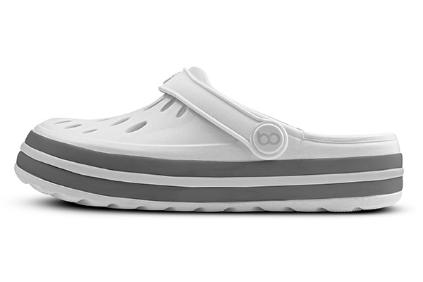 2445_110_005_lateral