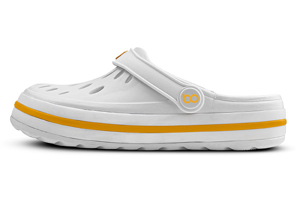 2445_112_002_lateral