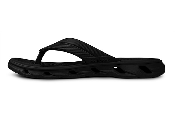 2520_100_001_lateral