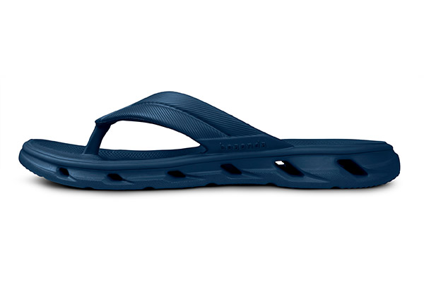 2520_100_003_lateral