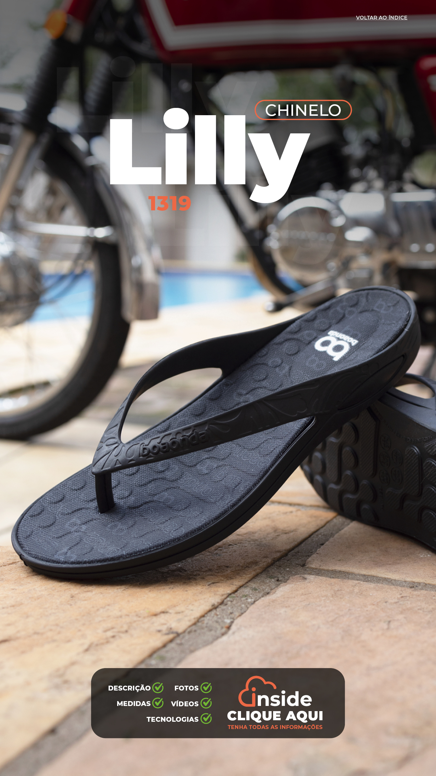1319_Lilly_Masculino