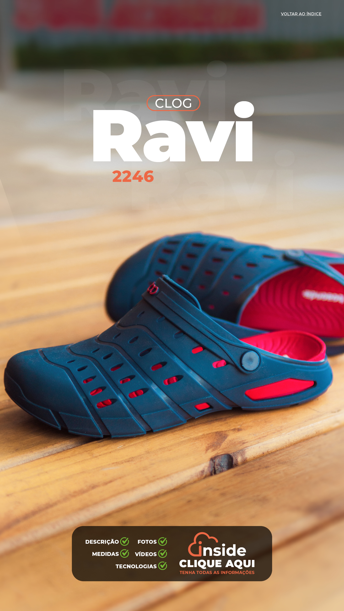 2246_Ravi