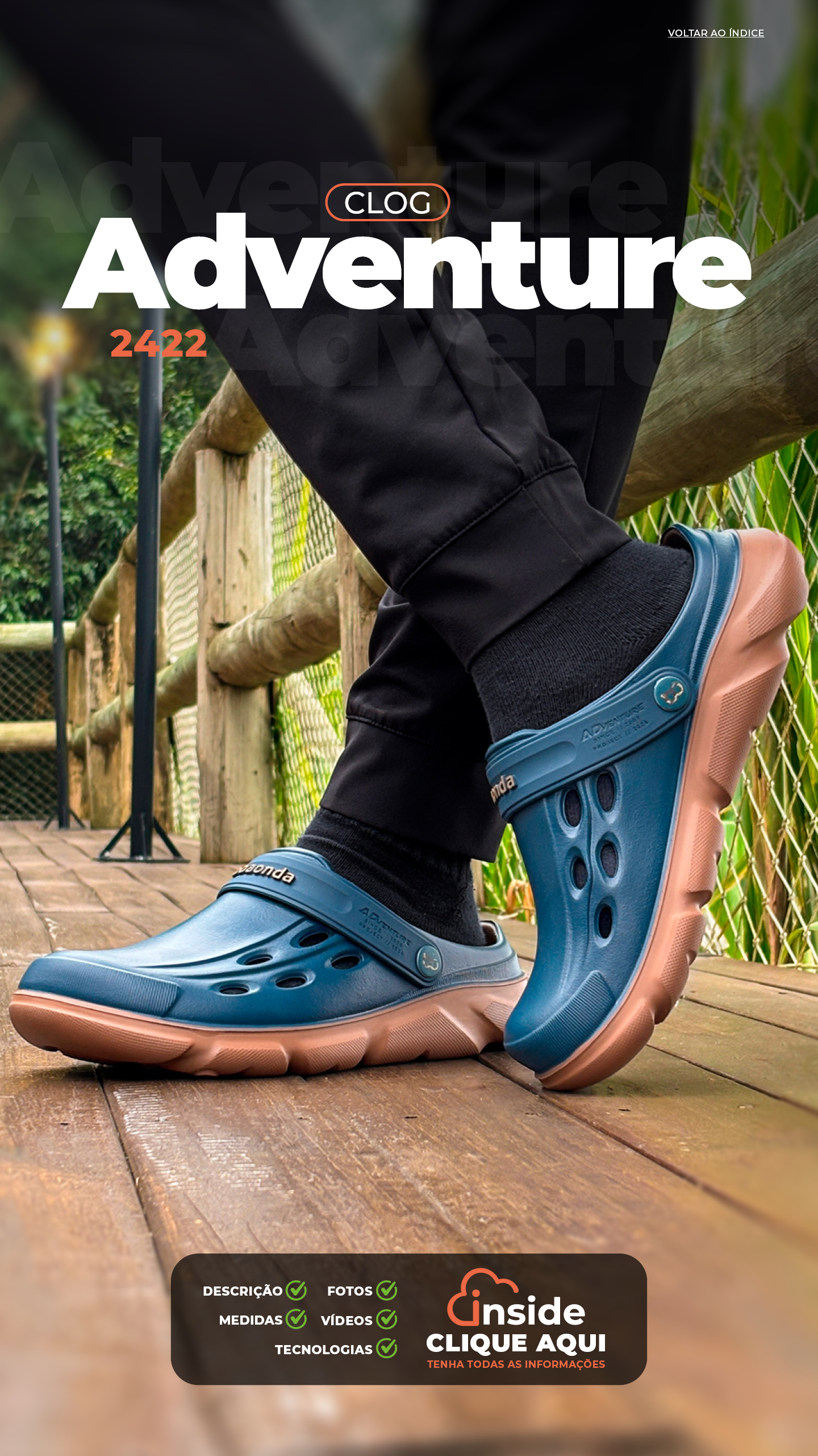 2422_Adventure