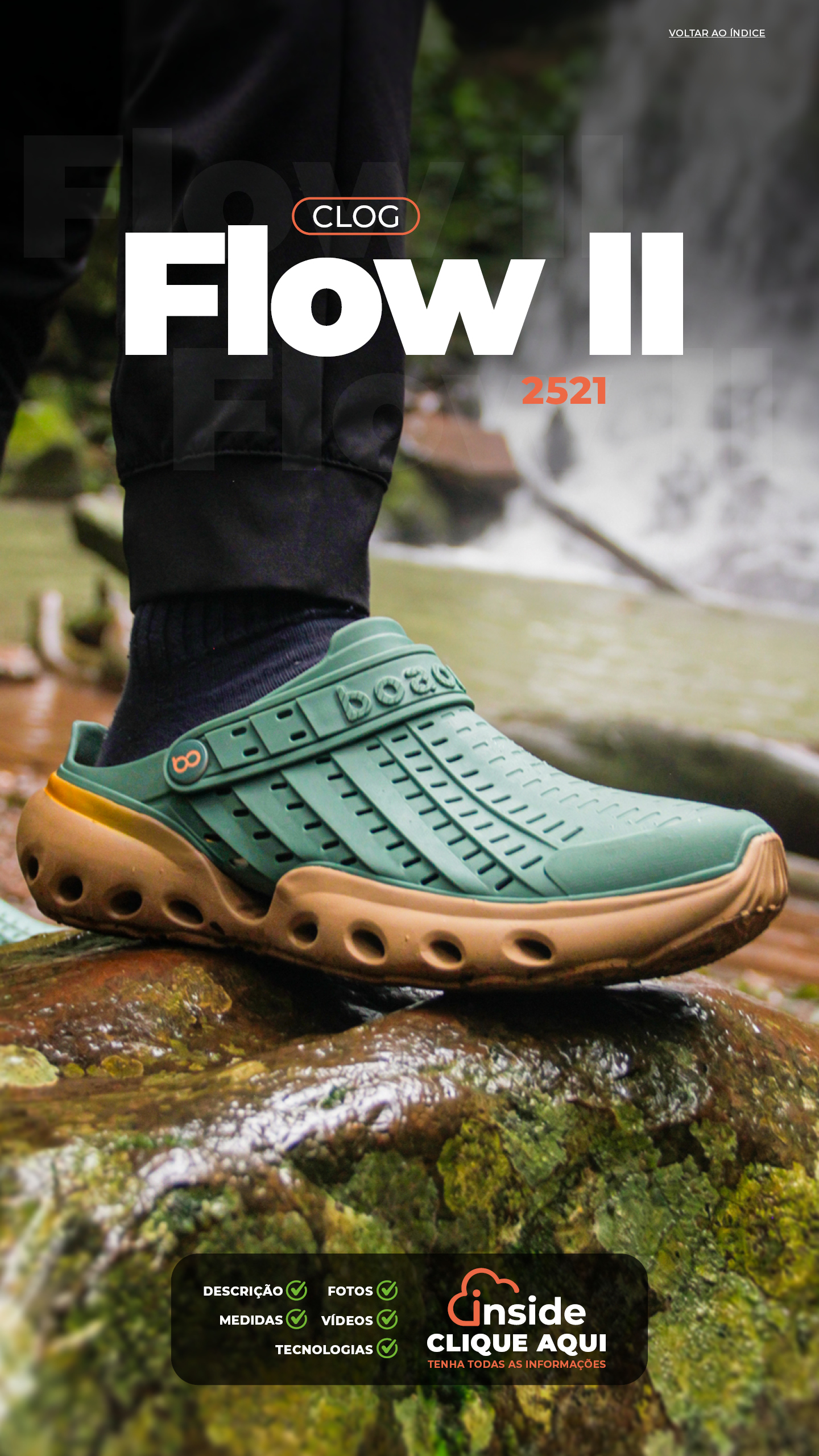 2521_FlowII