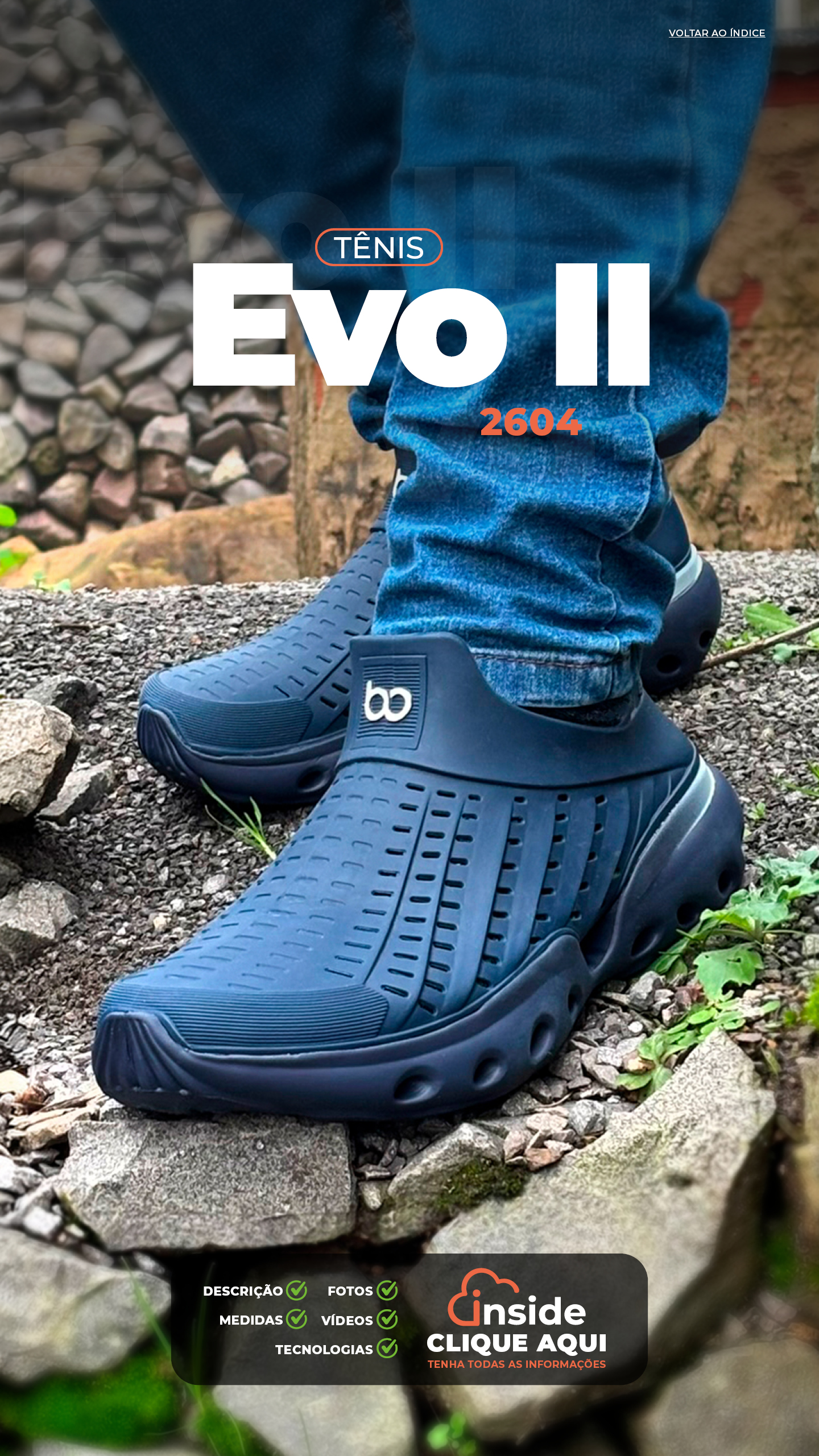 2604_EvoII